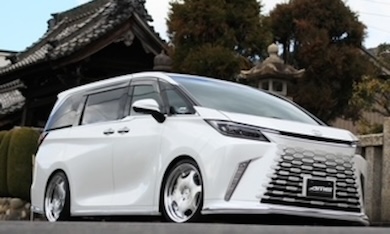 lmオーバーフェンダーモール